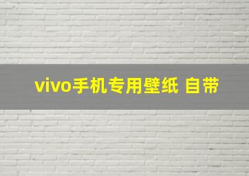 vivo手机专用壁纸 自带